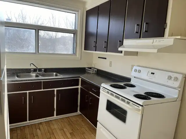 SPACIOUS 3.5 JUST FINIS RENOV. PRIME LOCATION - Photo 7