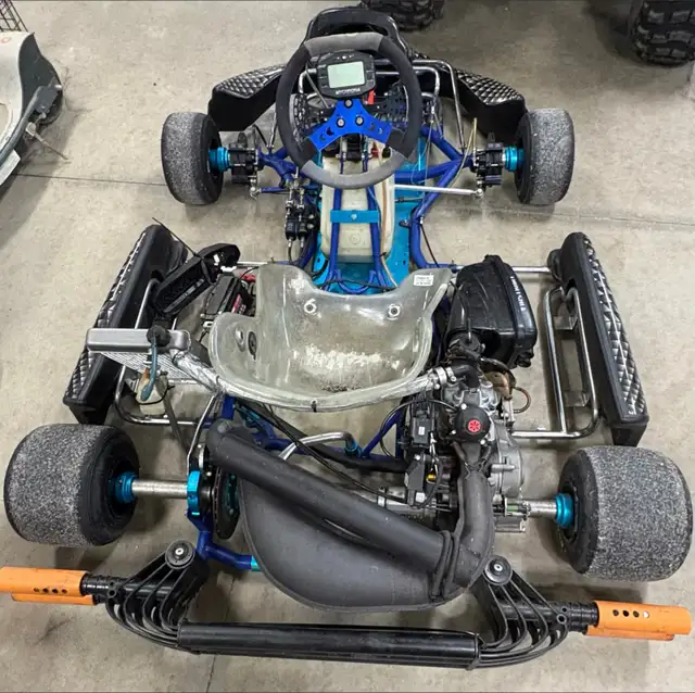 Rotax DD2 125cc go kart 34hp 2 speed 2 stroke