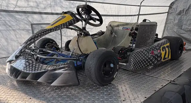 Rotax DD2 125cc go kart 34hp 2 speed 2 stroke - Photo 6