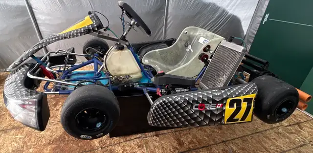 Rotax DD2 125cc go kart 34hp 2 speed 2 stroke - Photo 7