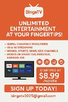 Endless Entertainment!