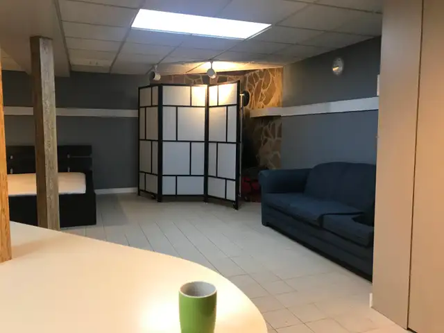 Basement for rent Rutherford/Bathurst - Photo 5