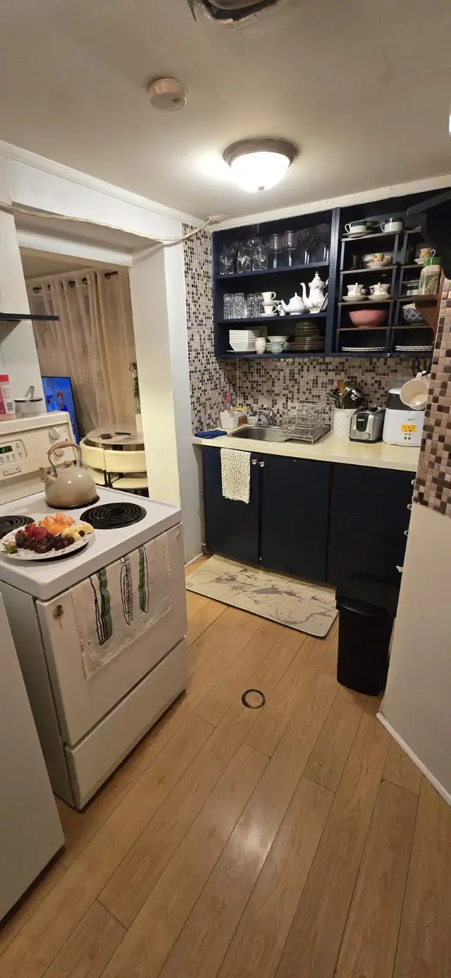 One Bedroom basement apartment - Yonge and Steels - Photo 4