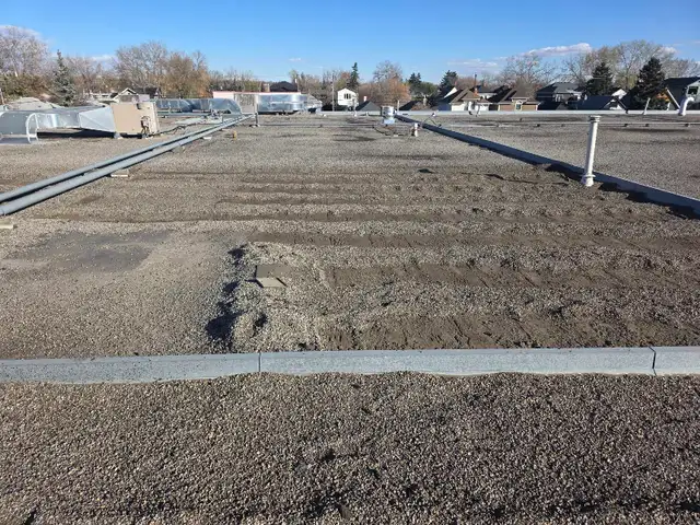 looking for cash daily jobs