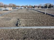 looking for cash daily jobs