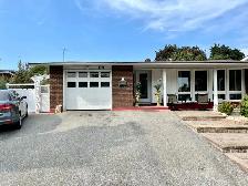 Basement Apartment  1 BR for Rent in Etobicoke