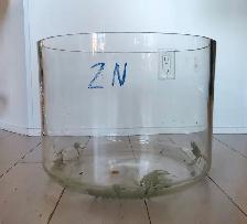 Large Round Glass Ecological Aquarium Tank