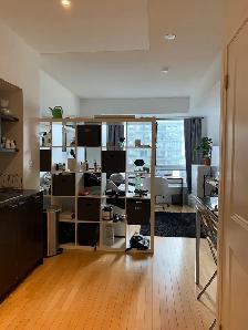 Bachelor Condo at Yonge & Hayden. 35 Hayden st