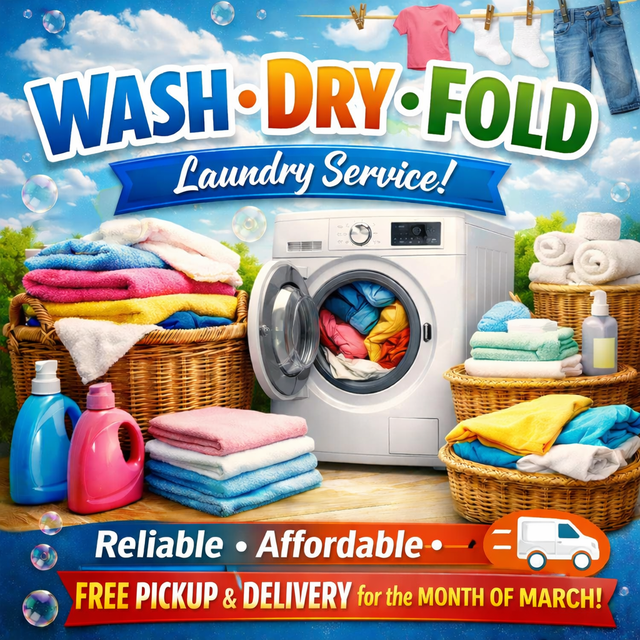 ONLY $35 FREE PICKUP and DELIVERY BARRIE