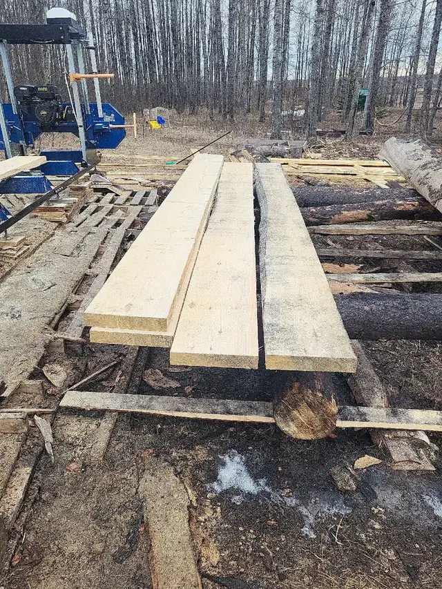 pine lumber - Photo 3