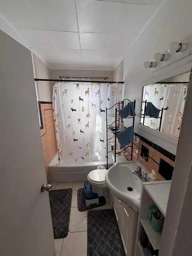 2 bedroom apartment for rent - Photo 4