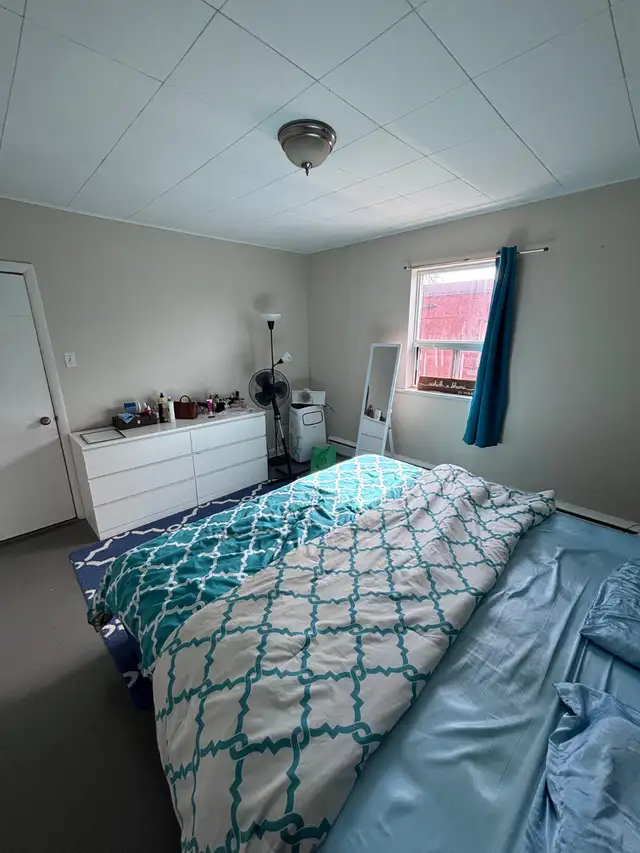 2 bedroom apartment for rent - Photo 5