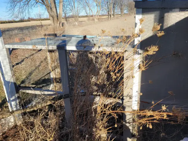 Chicken coup - Photo 3