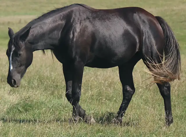 Barrel prospect, Proven performance. Proven! speed.