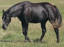 Barrel prospect, Proven performance. Proven! speed.