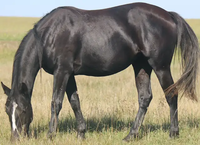 Barrel prospect, Proven performance. Proven! speed. - Photo 2