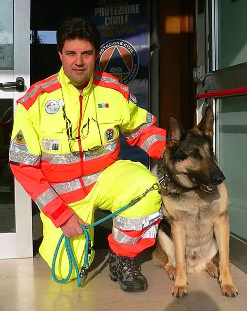 Dog Trainer - Photo 2