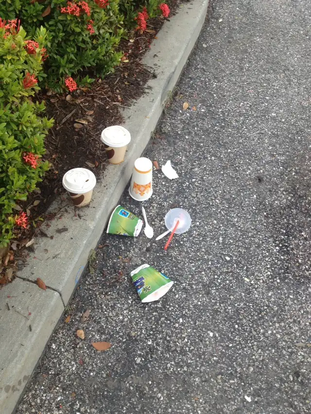 Garbage cleanup litter picking - Photo 2