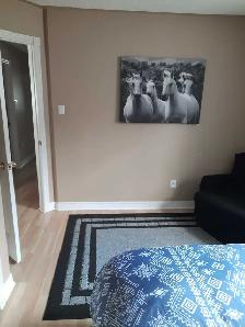 Room to rent May 1/2026 - Photo 5