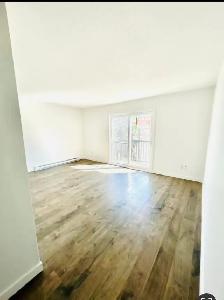 logement 4-1/2 appartement