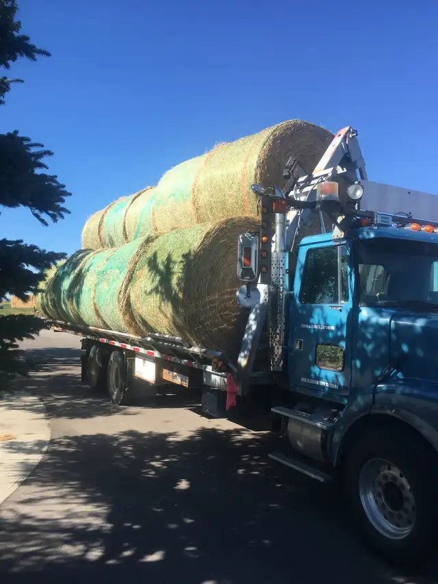 premium bale’s - Photo 3