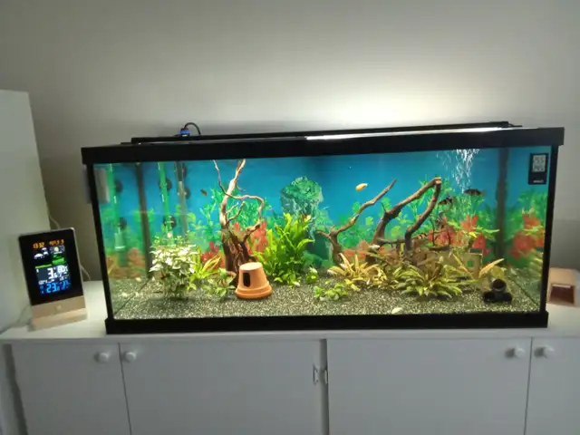 Aquarium a vendre
