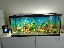 Aquarium a vendre