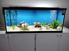 Aquarium a vendre - Photo 2