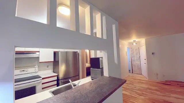 4.5 LARGE CONDO (REDUCED PRICE), CENTER OF VILLAGE - Photo 3