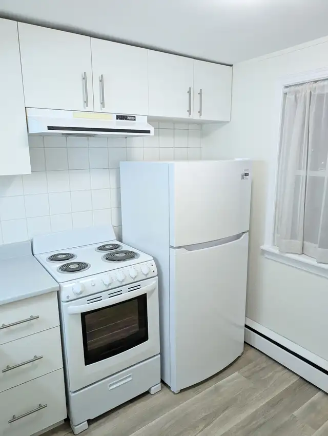 1 Bedroom Apartment Downtown (Unit 2 Duplex) - Photo 10
