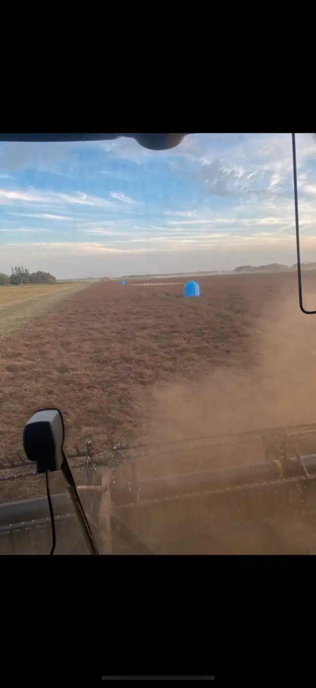Alfalfa, Clovers, Grasses, Hay/Pasture mixes - Photo 4