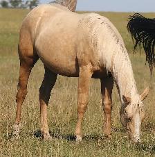 All 4 of Doc Bar's Best