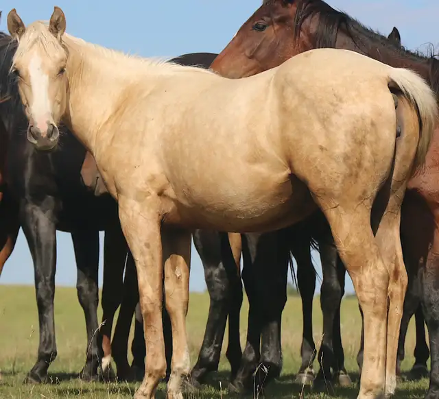 All 4 of Doc Bar's Best - Photo 2