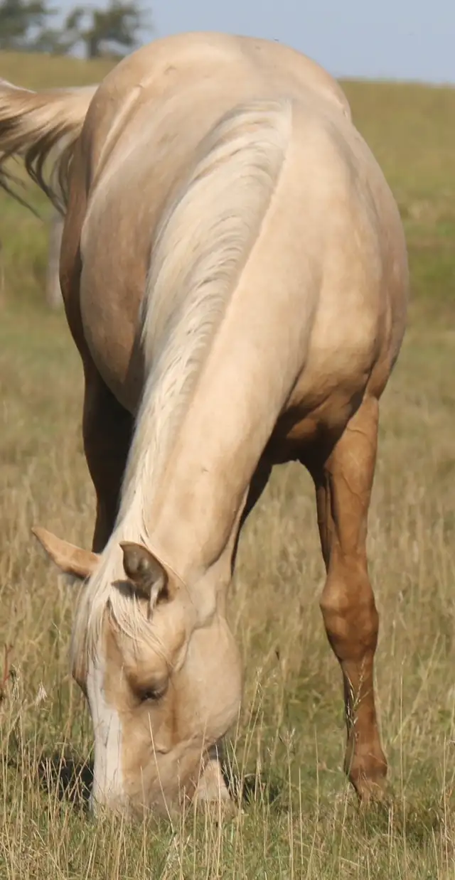 All 4 of Doc Bar's Best - Photo 3