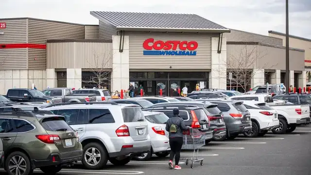 Costco big item delivery
