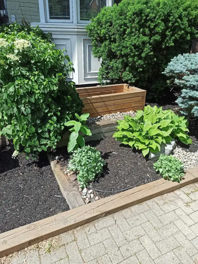 CHEAP SPRING YARD CLEANUPS/GLOWUPS! 647-571-9326