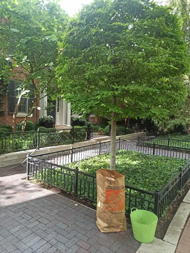 CHEAP SPRING YARD CLEANUPS/GLOWUPS! 647-571-9326 - Photo 4