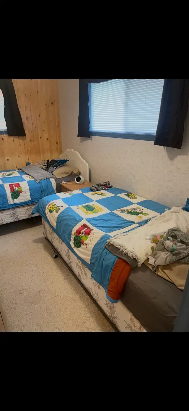 cabin for sale at turtle lake - Photo 3