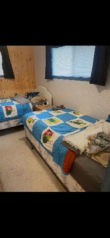 cabin for sale at turtle lake - Photo 3