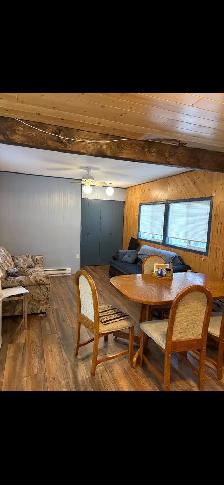 cabin for sale at turtle lake - Photo 6
