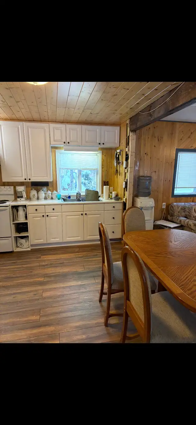 cabin for sale at turtle lake - Photo 7