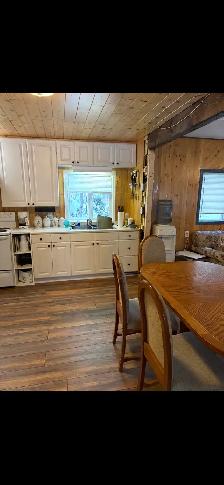cabin for sale at turtle lake - Photo 7