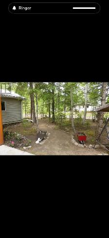cabin for sale at turtle lake - Photo 10