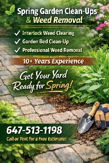 Garden Looking Rough After Winter? Lets Bring It Back to Life