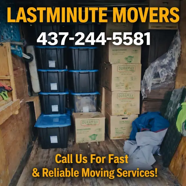 need movers - Photo 5