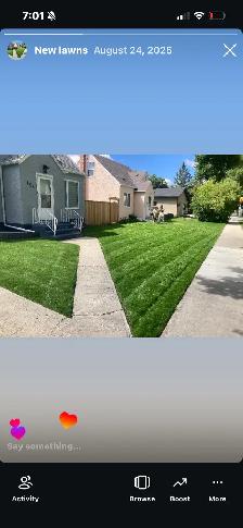 Spring clean up - Photo 2