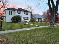 Spring clean up - Photo 3