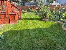 Spring clean up - Photo 5