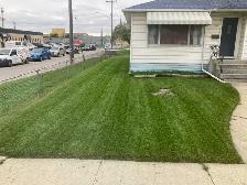 Spring clean up - Photo 7