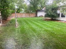 Spring clean up - Photo 8